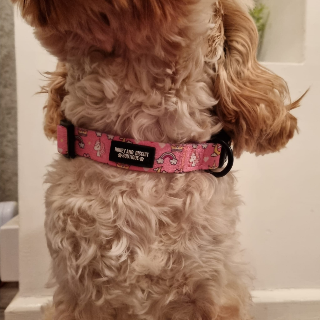 Dog Collar - Rainbow Dreams