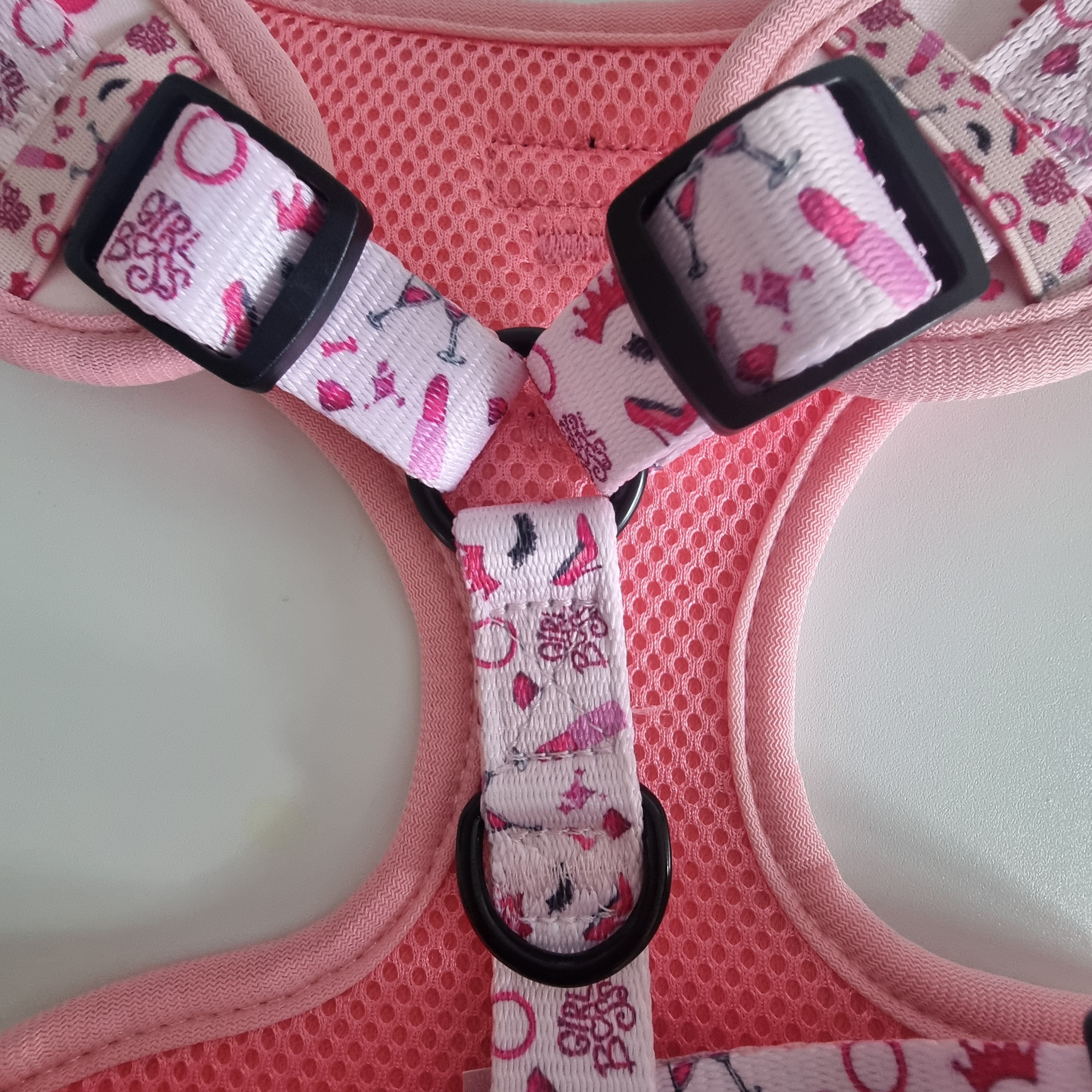 Girl Boss – Complete Walkies Bundle for Small Dogs (5 Piece Set)