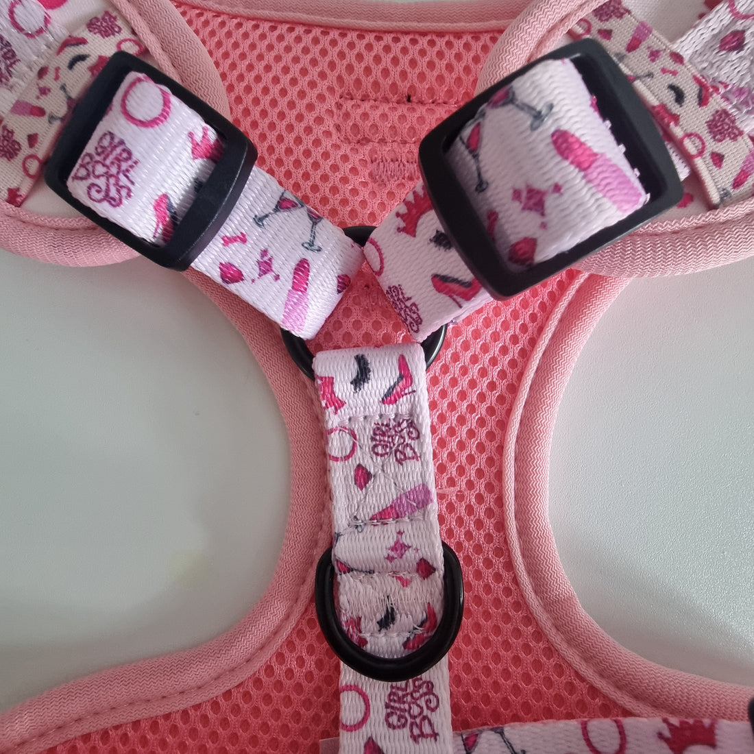 Girl Boss – Complete Walkies Bundle for Small Dogs (5 Piece Set)