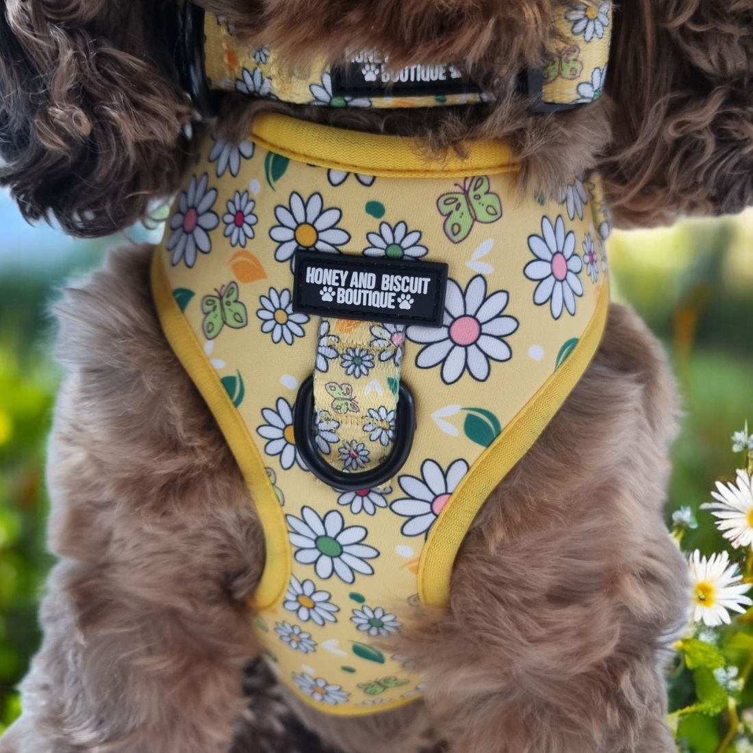 Dog Harness, Collar & Lead Bundle - Pups A Daisy Yellow