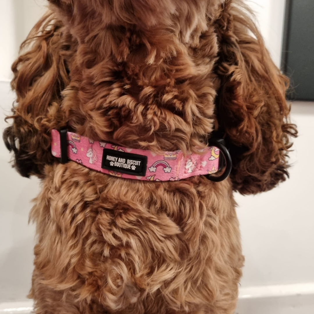 Dog Collar - Rainbow Dreams