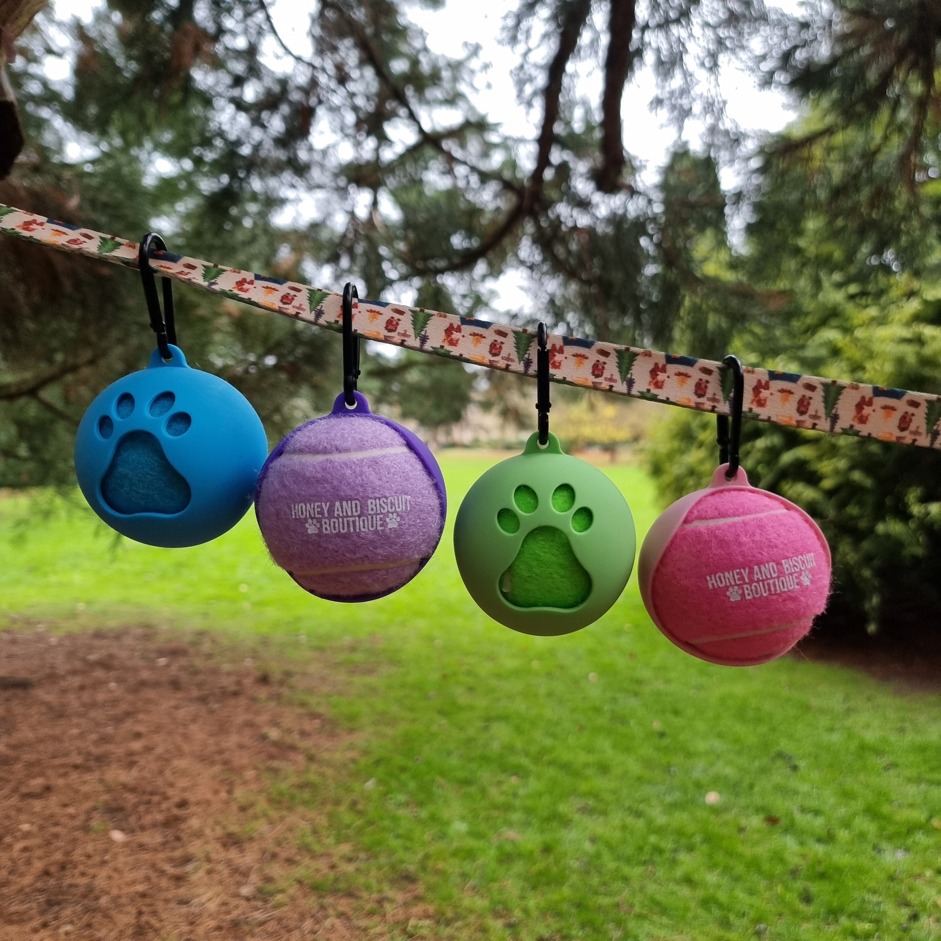 Branded Dog Ball & Holder