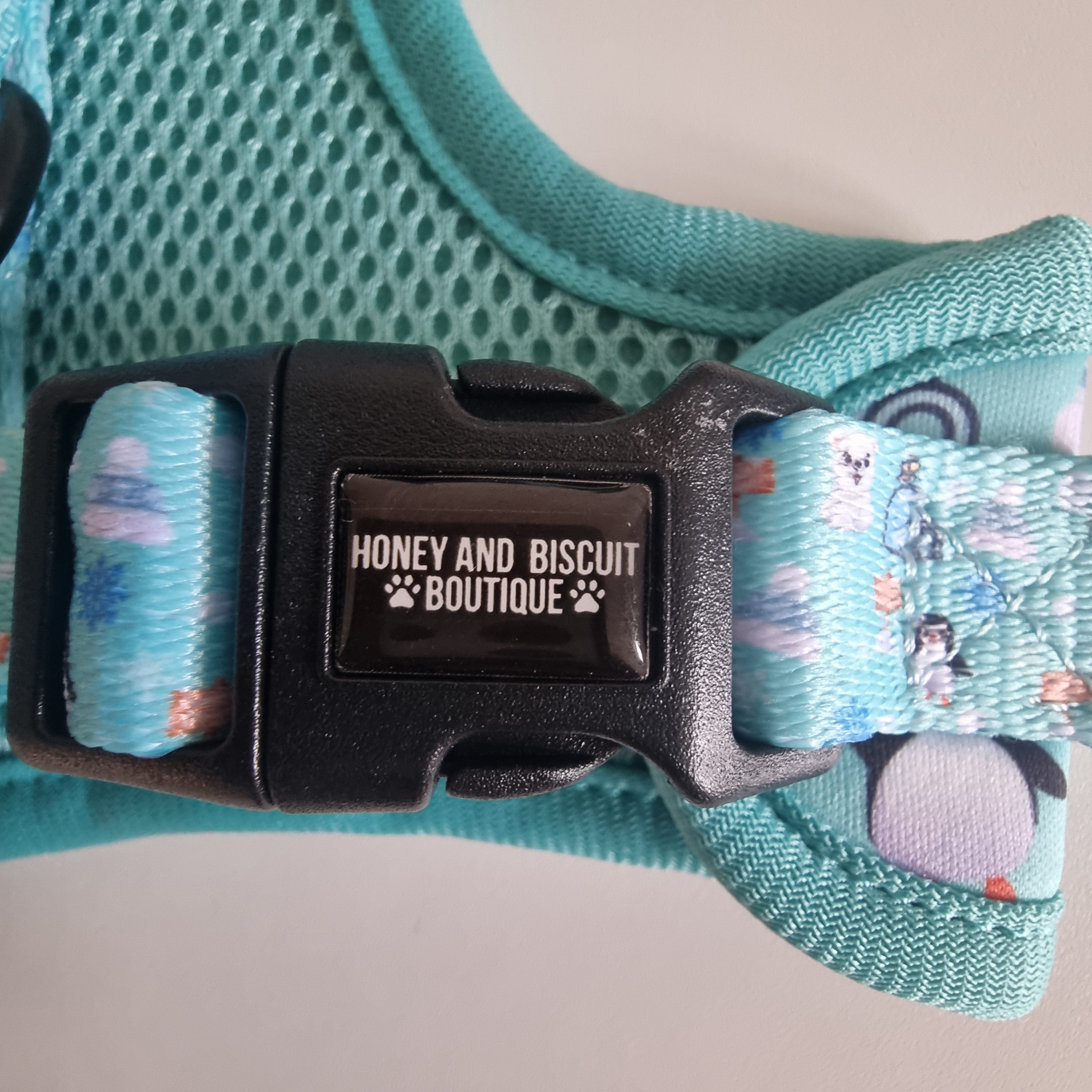 Frosted Delight – Harness, Lead & Collar Bundle for Small Dogs (3 Piece Set)