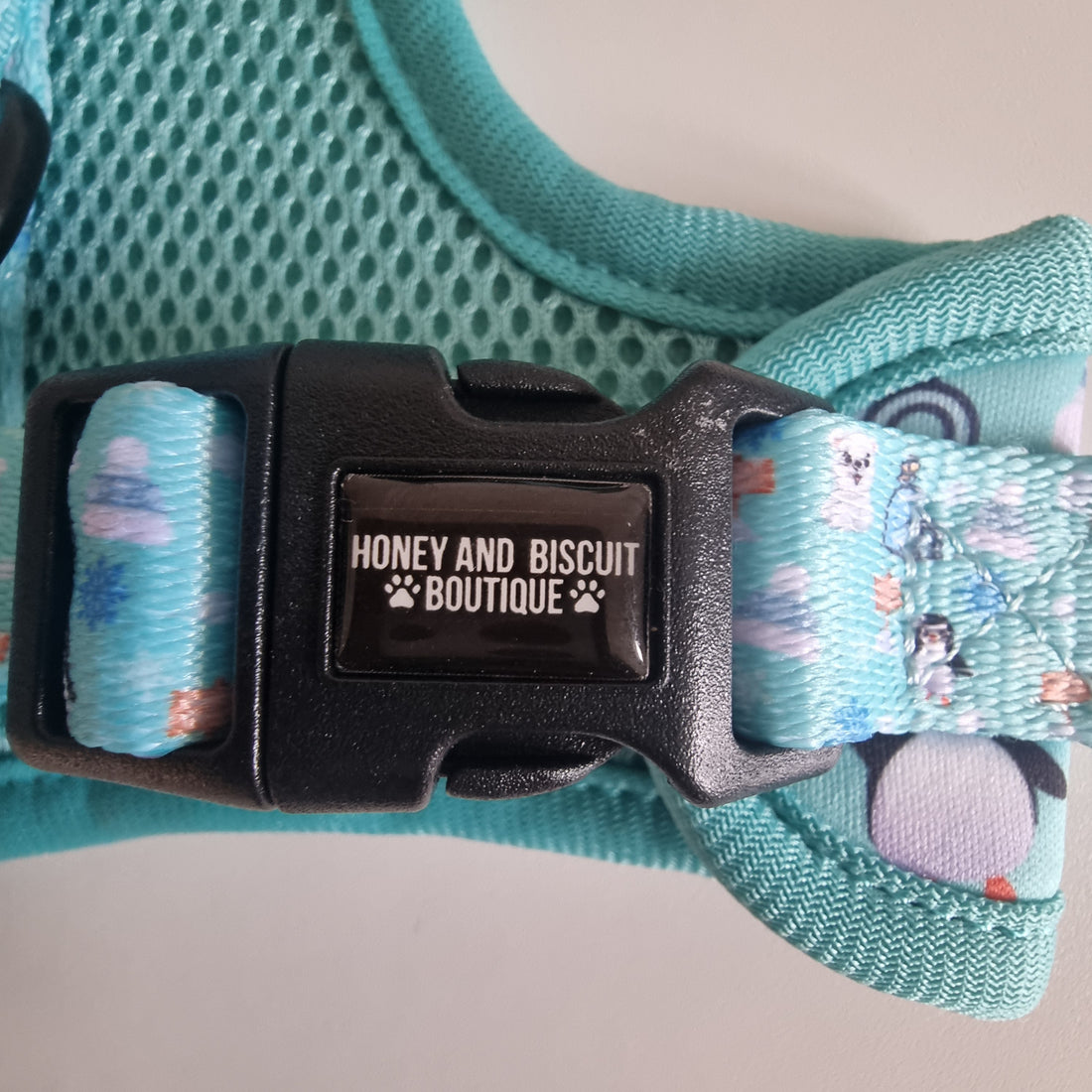 Frosted Delight – Harness, Lead & Collar Bundle for Small Dogs (3 Piece Set)