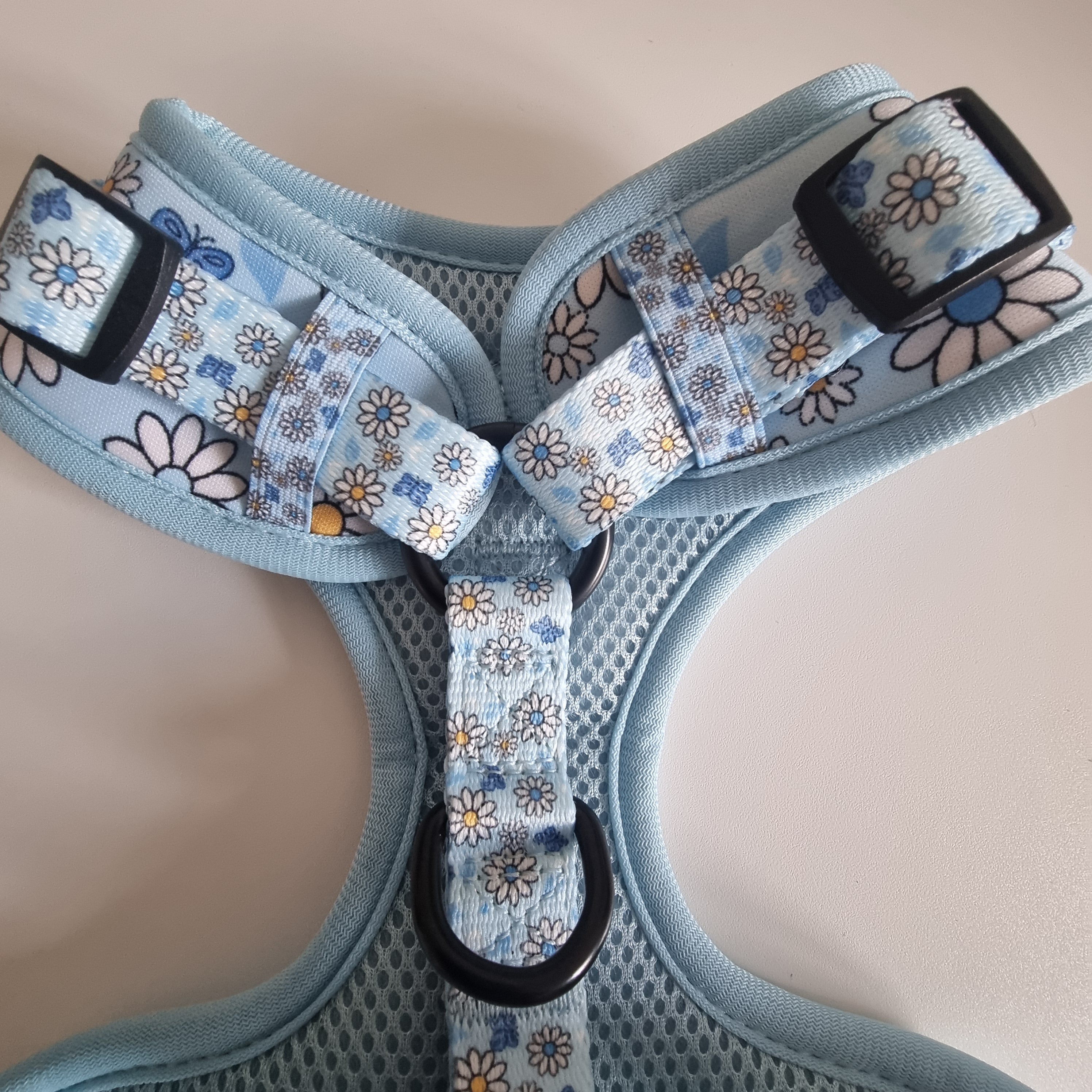 Pups A Daisy Blue – Harness, Lead & Collar Bundle for Small Dogs (3 Piece Set)