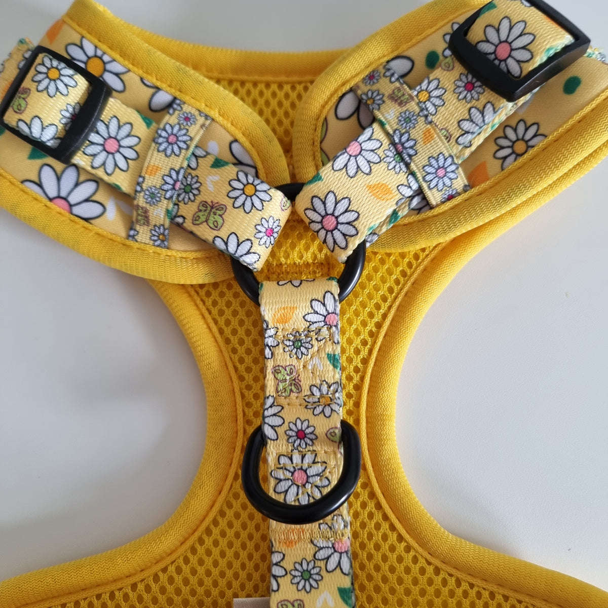 Pups A Daisy Yellow – Harness, Lead & Collar Bundle (3 Piece Set)