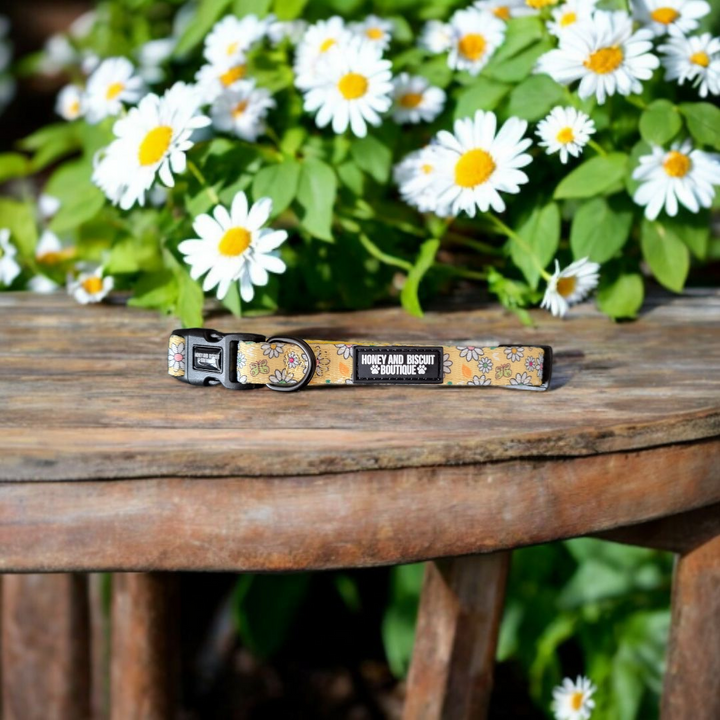 Dog Collar - Pups A Daisy Yellow