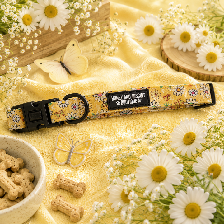 Dog Collar - Pups A Daisy Yellow Extra Small
